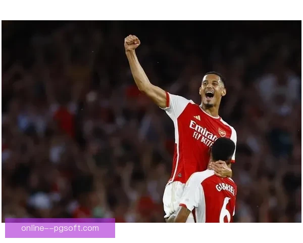 萨利巴逐渐确立法国队主力中卫地位或成未来防线基石