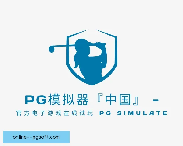 认识PG模拟器
